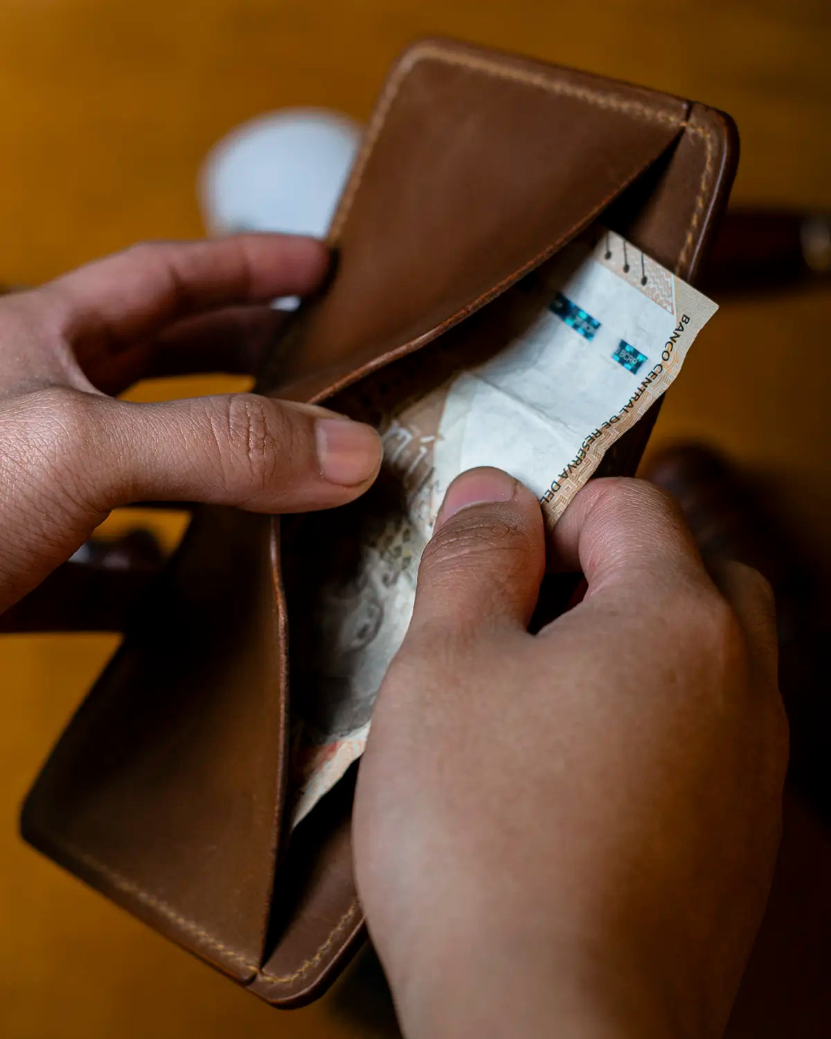 Billetera Mountain V2